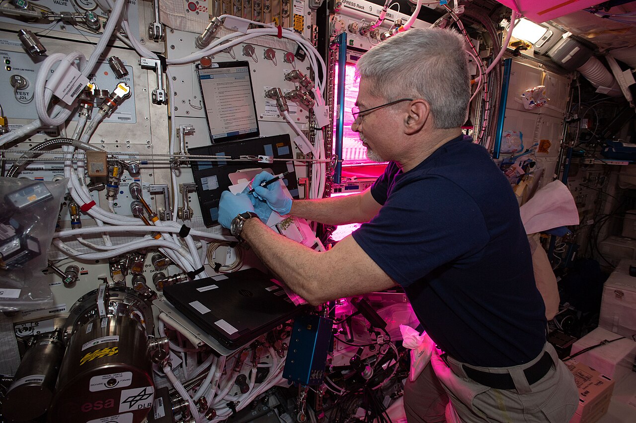 ISS-66 Astronaut Mark Vande Hei harvests plants grown on petri plates — Faire des bébés dans l'espace : un défi colossal